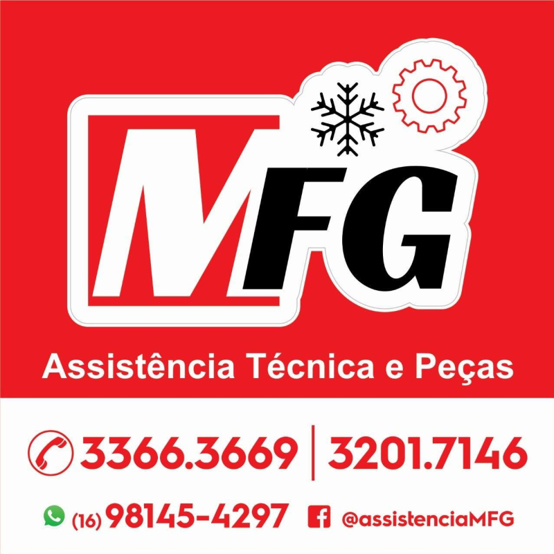 MFG Assistência Técnica e Peças São Carlos SP